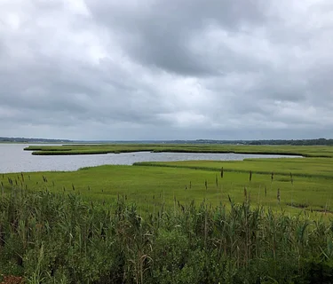 Annual Meeting – Salt marsh ecology