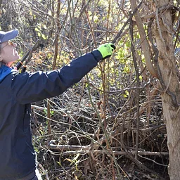 Forest Restoration Workday at Darden Towe Park