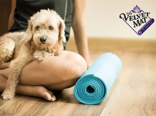 Dog Pub Social Doggie Yoga