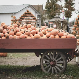Saco Pumpkin Harvest Festival