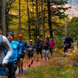 Fall Foliage Footraces