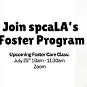 Foster Training Class – July 25th