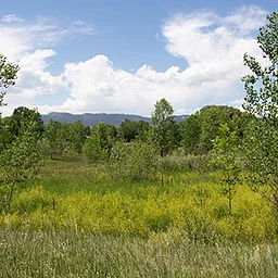Fall Nature Walk: Red Fox Meadows