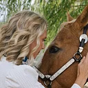 Kensho Stables