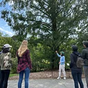 Arboretum Highlights Tour: Flora Way Loop
