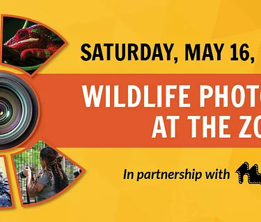 Wildlife Photography (Spring 2026)