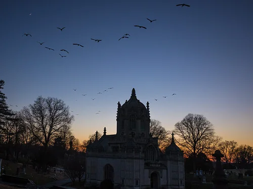 Bugging Out at Night!