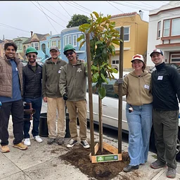 Chinatown | Community Tree Planting