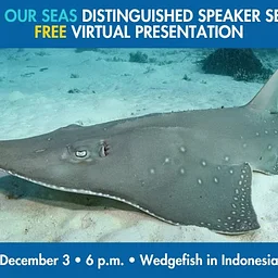 Save Our Seas Distinguished Speaker Series FREE Virtual Presentation