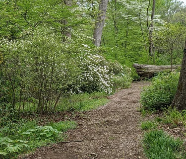 Sunday Tour: Delco’s Changing Ecology