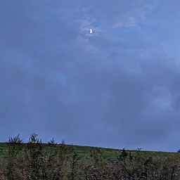 Darkness is the New Green (Online)
