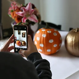 SheHive815 Yoga, Charcuterie, + Pumpkin Painting