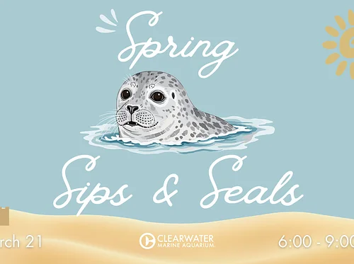 Spring Sips & Seals