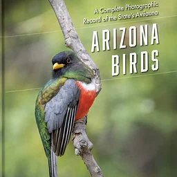 Artist’s Talk featuring Francis Morgan – Arizona Birds