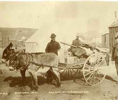 High Noon – History of the Twenty-Mule Teams program (Virtual Zoom)