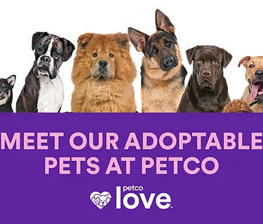 PetCo Adoption Day – Westshore