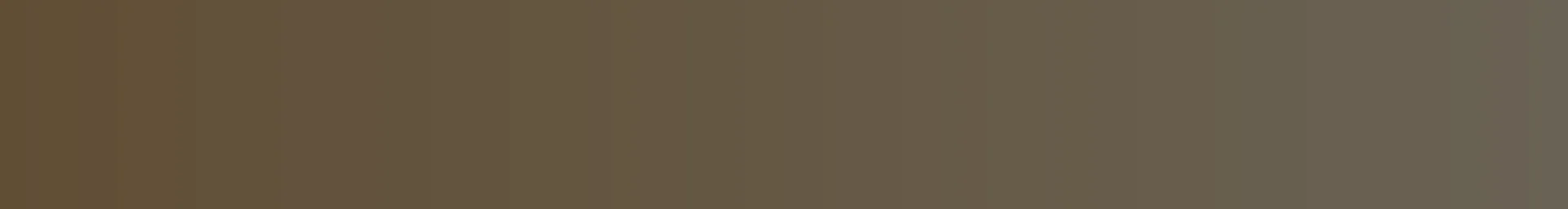 Pizza Plant Italian Pub