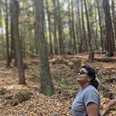 Terapia de Bosque en Español: El Corazón del Bosque