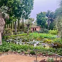 Austin Herb Society July Meeting: “Oh, the Places We Go!”