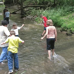 Creek Walk