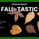 STEAM Saturdays: Fall-tastic