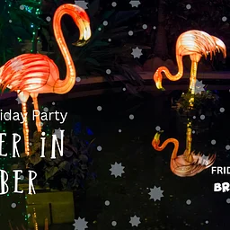 Summer in December: Tropical Holiday Party