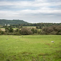 New York Land Transfer Regional Forum (Webinar)