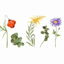 Watercolor Workshop: Fall Florals & Foliage
