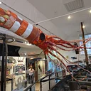 The Whaling Museum presents Ocean Egg Scavenger Hunt