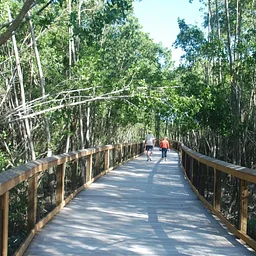Member Naturalist Tour: Gordon River Greenway