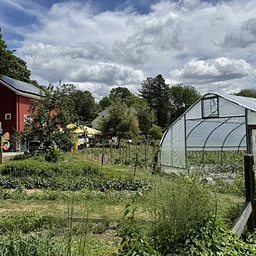 Farm Open House - Great for Kids!