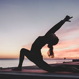 Cedar River Yoga-Community Wellness Series