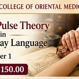 Ancient Pulse Theory in Modern Day Language