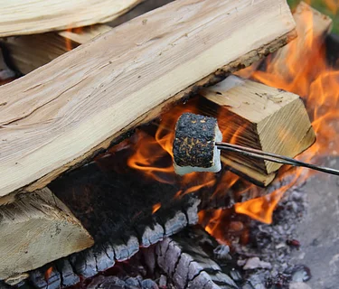 Campfire Stories