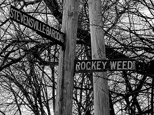 Live Music - Rockey Weed Road Band & Friends
