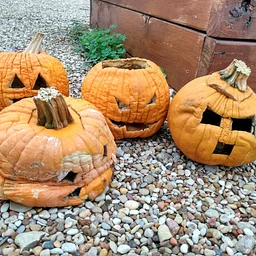 Pumpkin Compost Drop-Off
