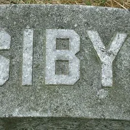 Sibyl's Birthday Bash and More!
