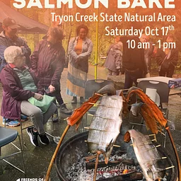 Salmon Bake