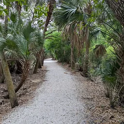Nature Walks with the Conservancy