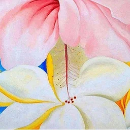 Plumeria Memory Cafe w/ JCSH