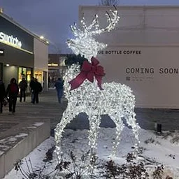 Oakbrook Center Christmas Shopping