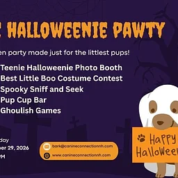 Teenie Halloweenie Pawty!