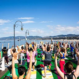 Wellness & Waves