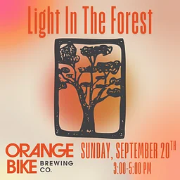 Live Music - Light In The Forest