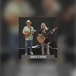 Music: Birds of a Feather