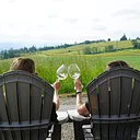 Golden Hour at MonksGate Vineyard
