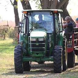Fall Harvest Festival