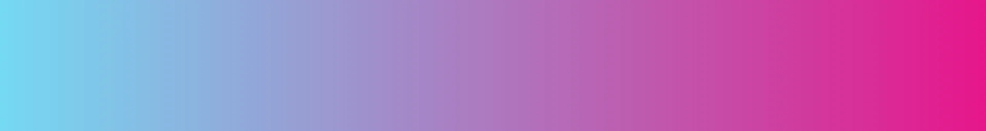 Randolph Street Market Festival