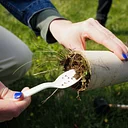 Explore Green-Wood’s Fungal Biodiversity: Mushroom Hotspot