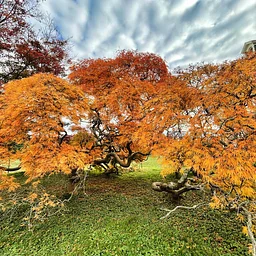 Nature Writing Series: Creative Writing Nature Walk